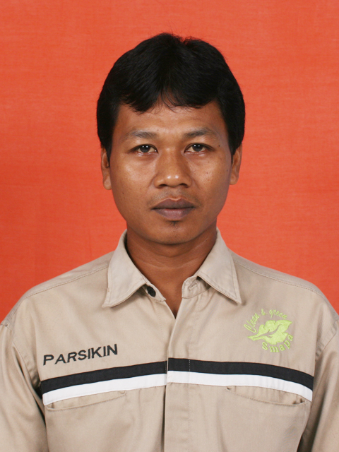 Parsikin
