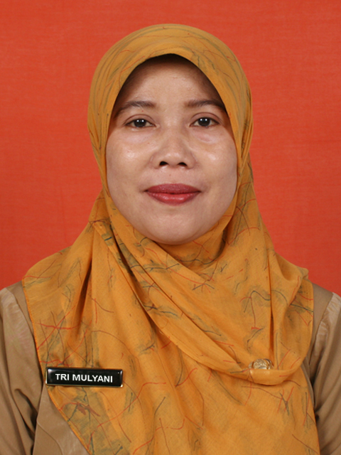 Tri Mulyani, S.Sos